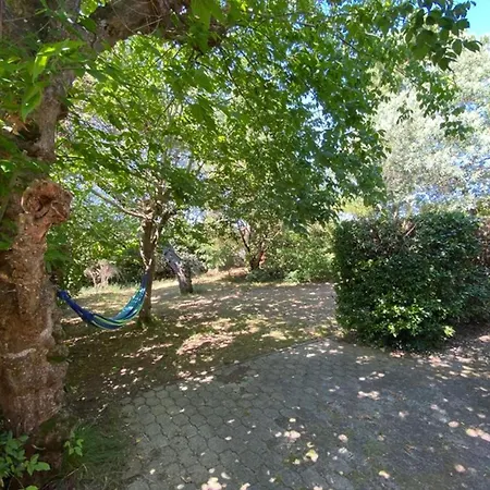 Charmante Maison Landaise 6 Pers. Avec Jardin, Terrasse, Proche - - Fr-1-413-221
